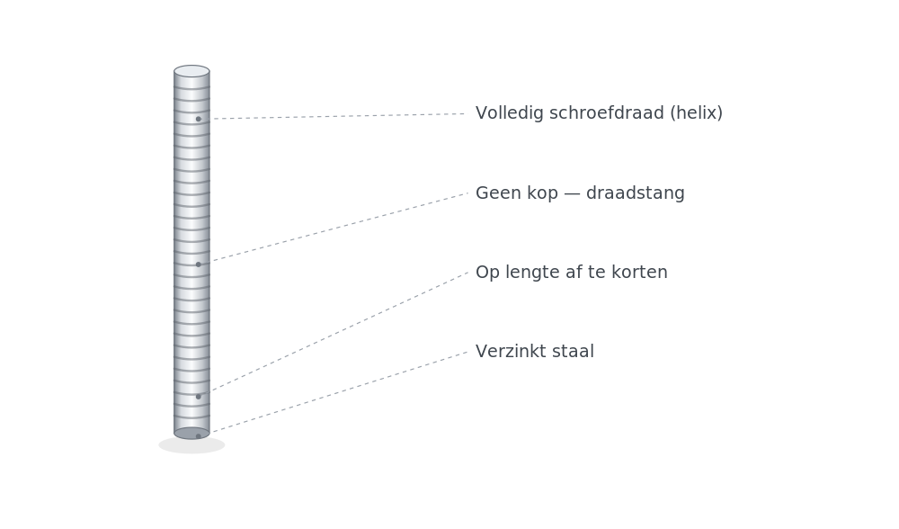 Draadeind kenmerken