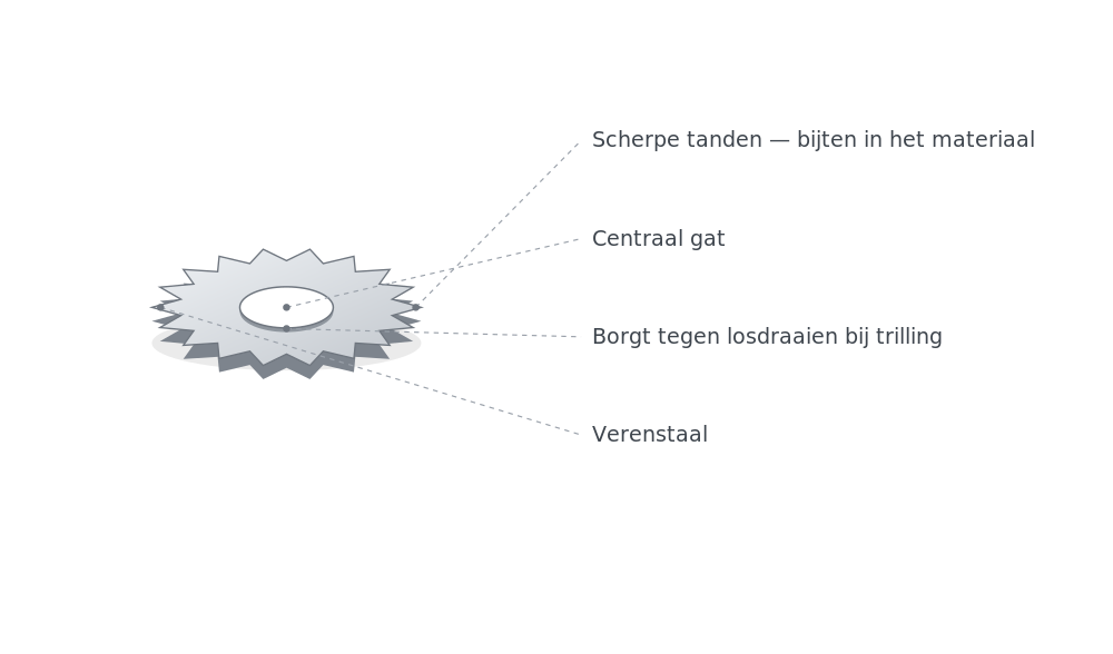 Borgring kenmerken