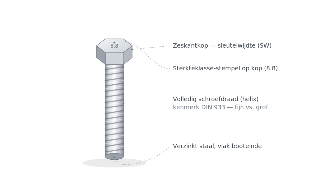 Zeskantbout kenmerken